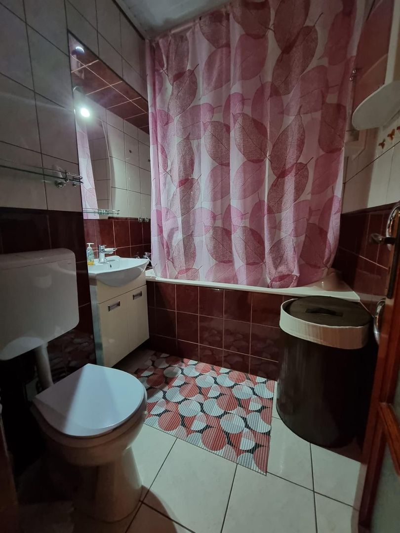Apartament cu 2 camere, mobilat si utilat - Tiglina 2, parter langa IPJ - Poză 5