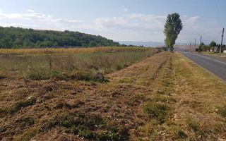 Teren intravilan Teleac cu toate utilitatile - Poză 2