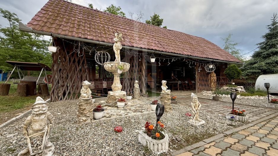 Pensiunea Polyana – business la cheie în inima stațiunii balneoclimaterice Bazna - Poză 18