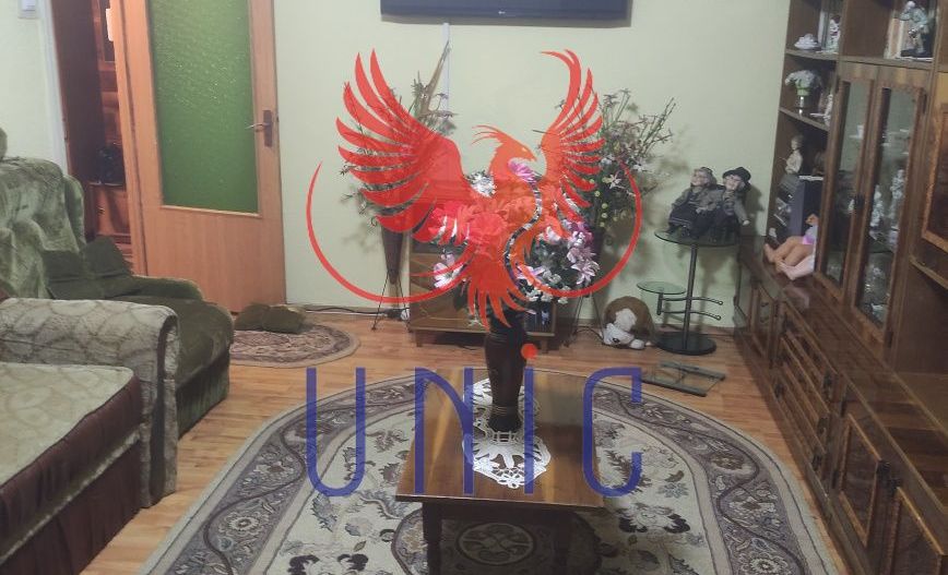 2 camere decomandate, etaj 3/4, Lapus Arges - 99 990 Euro - Poză 2