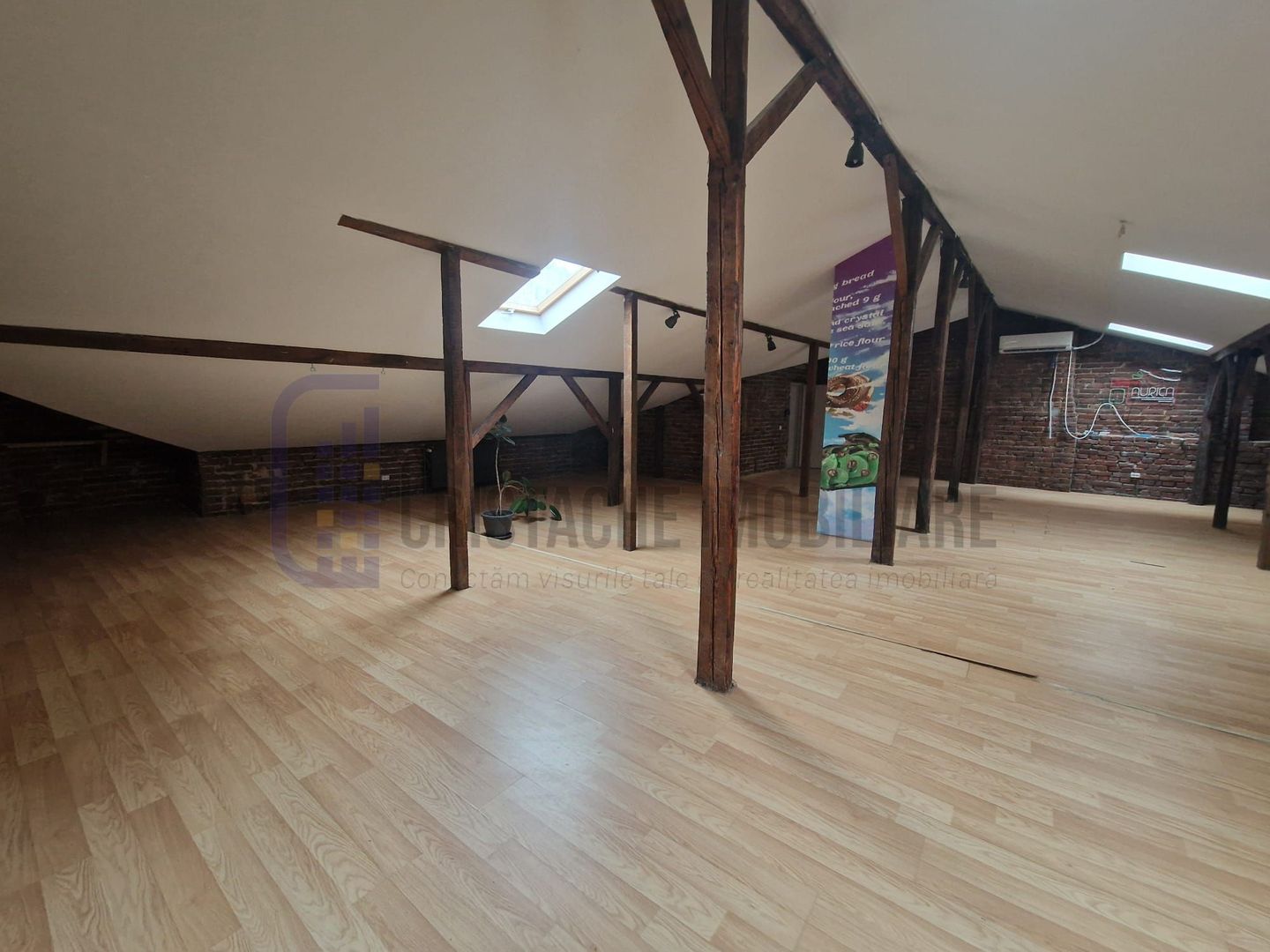 Spatiu comercial in vila, etj. 1 + mansarda, 220 mp, Piata Amzei - Poză 13