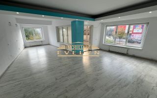 Cladire Comerciala De Vanzare, Zona Bld. Mihai Eminescu, Pret 690000 Euro Negociabil - Poză 7