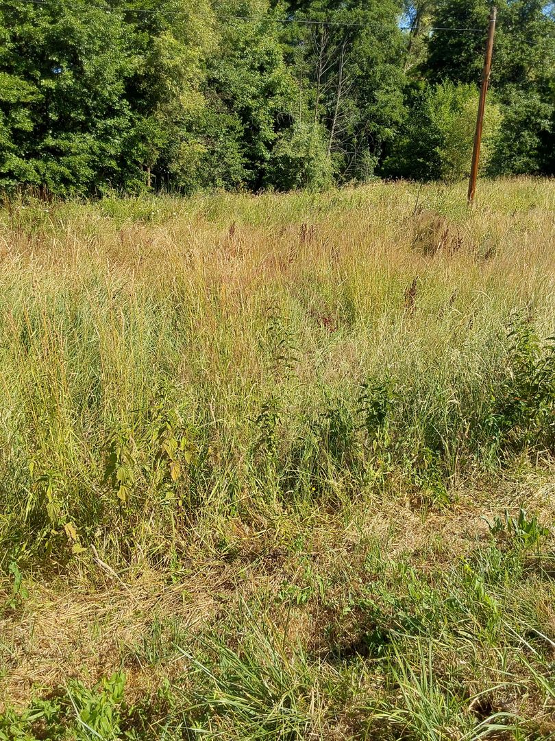 TEREN INTRAVILAN ÎN MARGA-LA DN68 JUD.CARAȘ-SEVERIN - Poză 7