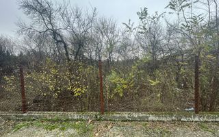 Teren in suprafata de 2165 mp cu front de 30 ml - Poză 3