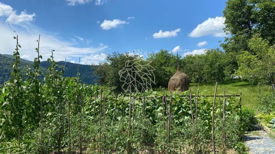 Casa 4 camere 170 mp-teren 1600 mp-terasa-gradina-Nasaud Central - Poză 7