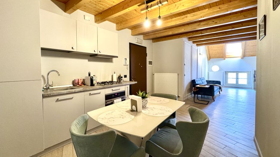 Apartament tip loft, 2 camere, Piața Unirii - Poză 6