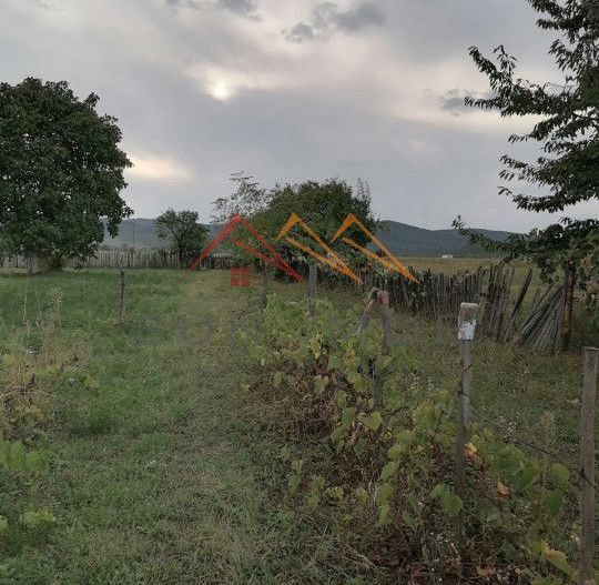 Casa rustica 3 camere, 4000 mp teren, cabana din lemn, pomi fructiferi - Poză 5