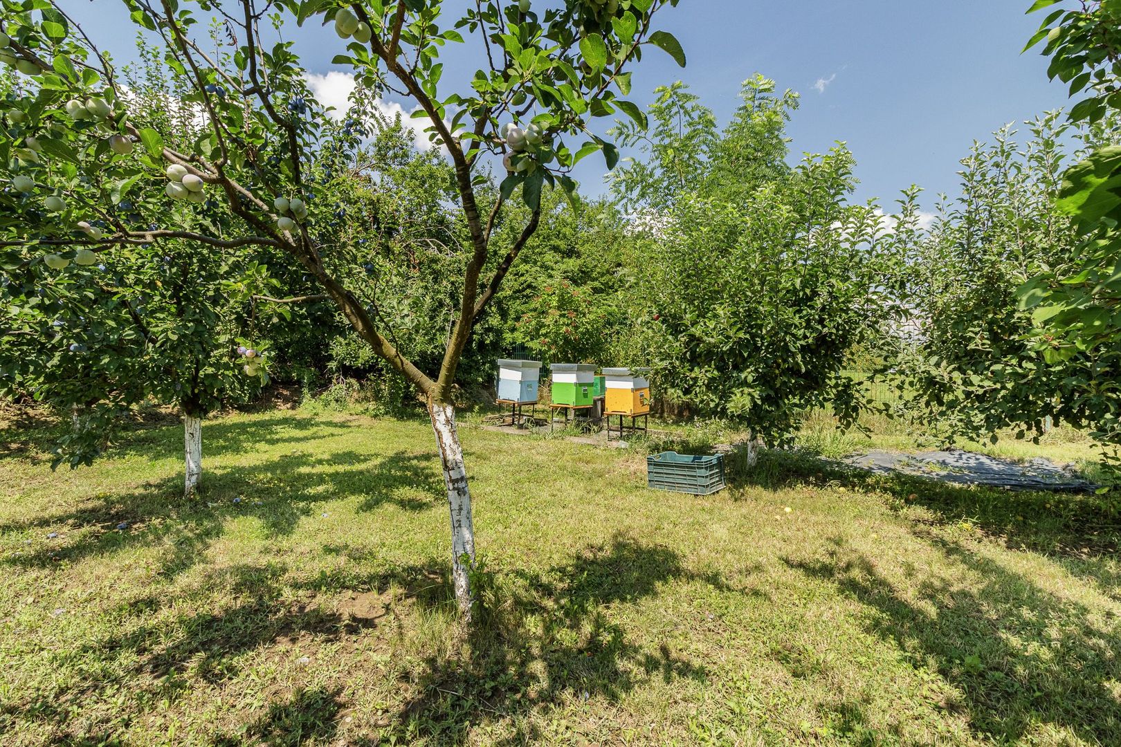 Casă de vânzare Tâncăbești cu grădină, aproape de lac - Poză 27