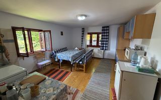 Cabană, 3 dormitoare, Arieseni, vedere panoramică. 75 000 E (neg) - Poză 12