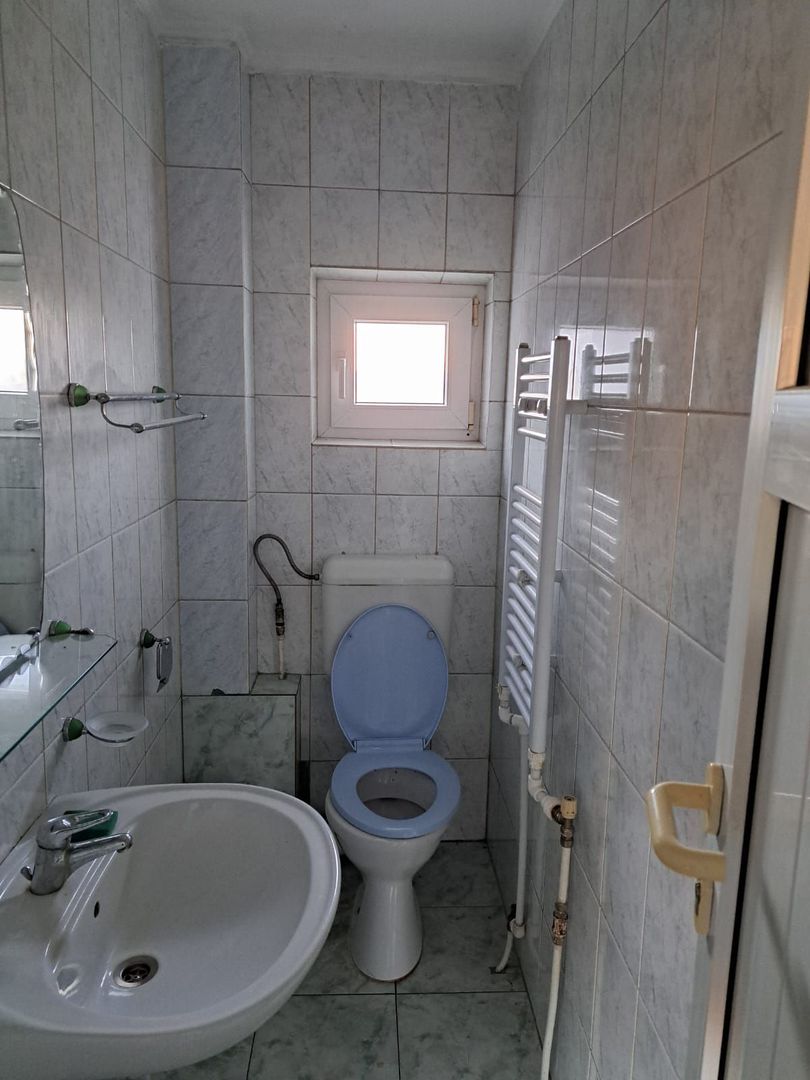 OFERTA in Băcia. Hunedoara ! Proprietate 2 case + Cabană - Poză 12