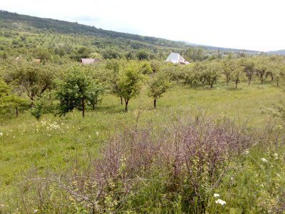 Teren intravilan si livada Draghici - Poză 5