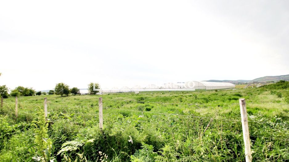 Teren 30.000 mp.cu  deschidere la strada Libertătii - Poză 5