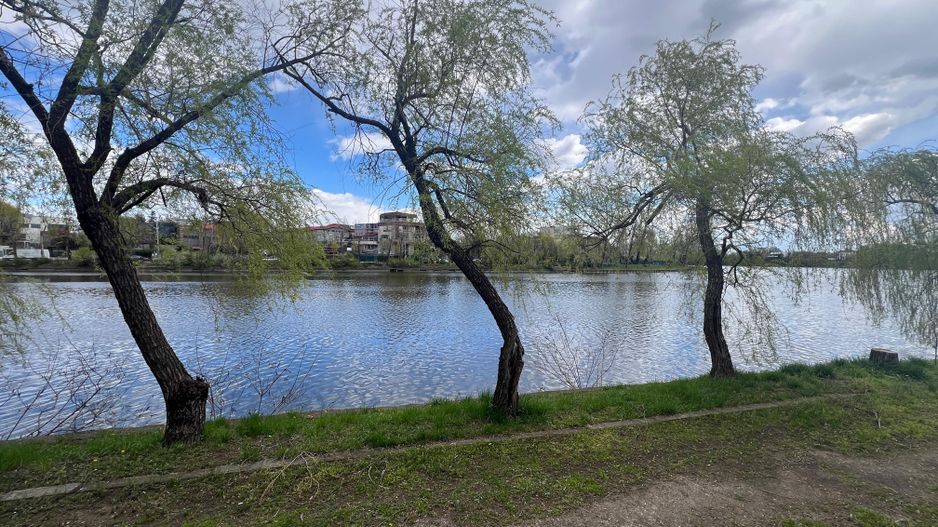 Vila 5 camere cu acces la lacul Baneasa | teren 400 mp - Poză 16