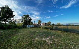 Teren de vanzare | 26 ari | Lăpușel, poziție excelentă - Poză 2