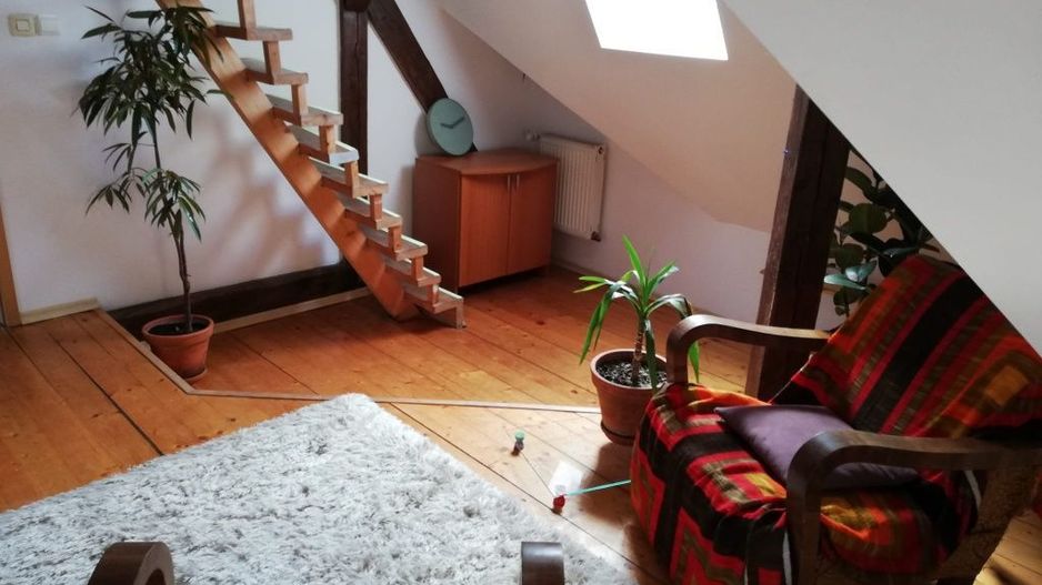 Apartament 4 camere | 175 mp | Bulevardul Victor Babeș | Ideal pentru - Poză 5