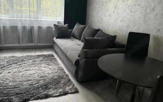P.F Vand apartament in Plopilor cu doua camere, zona Platinia - Poză 7