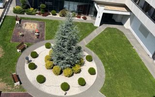 Apartament 3 camere | CAMPEADOR 1 Torontal | Parcare subteran - Poză 8