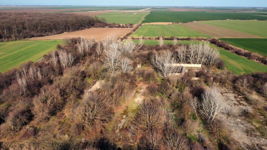 Ferma si livada de meri in judetul Ilfov - Poză 13