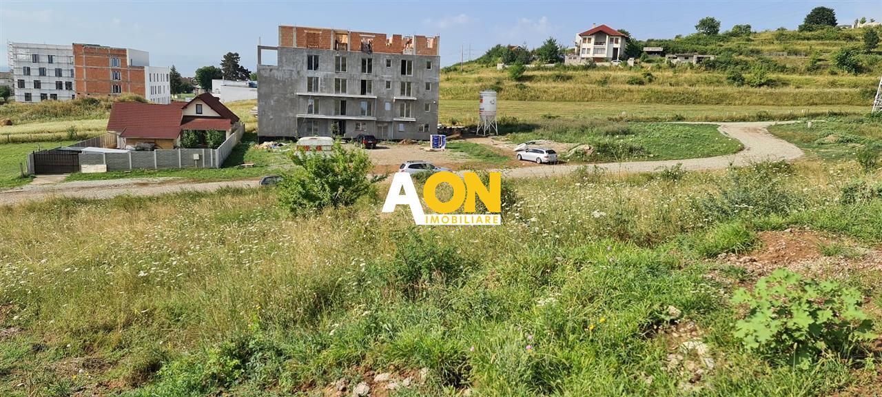 Teren zona Ana AslanCetate Schit - Poză 2