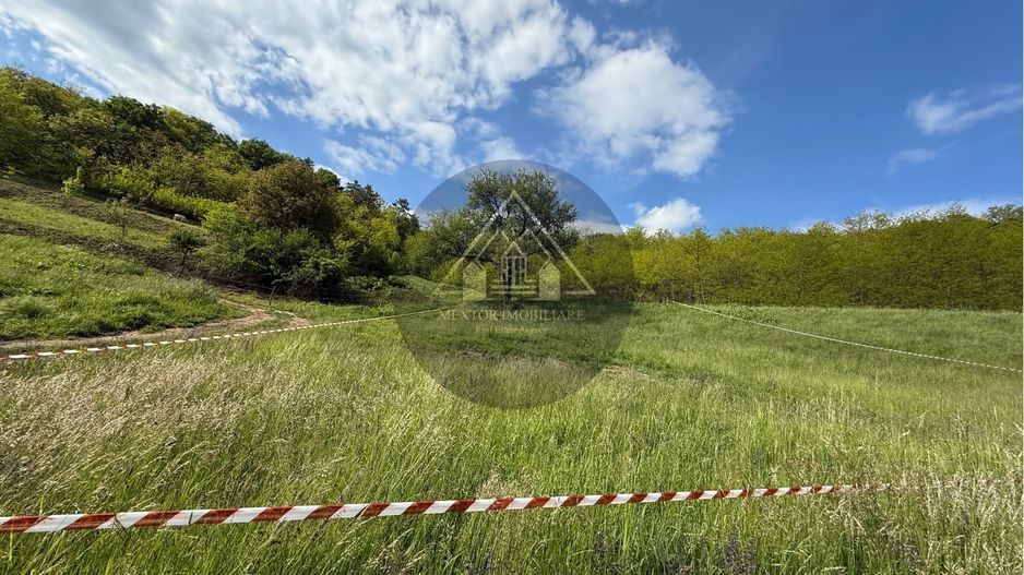 Teren de casa cu PUZ, Mosnei - Poză 6