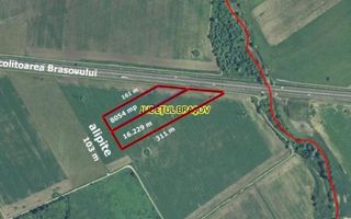 Teren intravilan 2,4 Ha - zona Tractorul (Rulmentul) - Poză 3