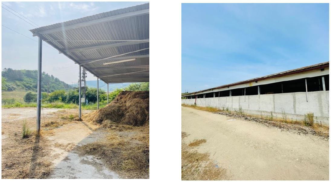 Spatiu Industrial Lechinta - Poză 4