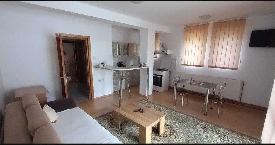 Vanzare apartament in vila, 2 camere Banatului - Poză 2
