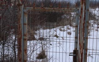 Ofertă Imediată: Teren pentru Construcții în Daia! - Poză 4