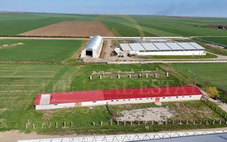 Tariverde - Ferma zootehnica functionala, 3 hectare teren intravilan! - Poză 5