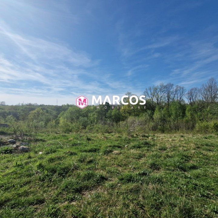 Teren 2360mp, KM 6, ID 978 - Poză 3