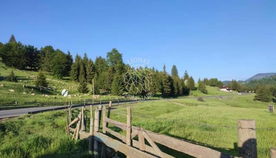 Teren PIATRA FANTANELE - 11.800 mp- ideal investitie, pensiune, hotel - Poză 1