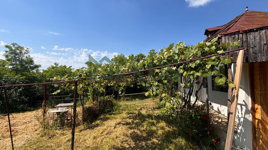 Casă bătrânească cu teren de 3.200 mp în Hertioana de Jos, jud.Bacău - Poză 19