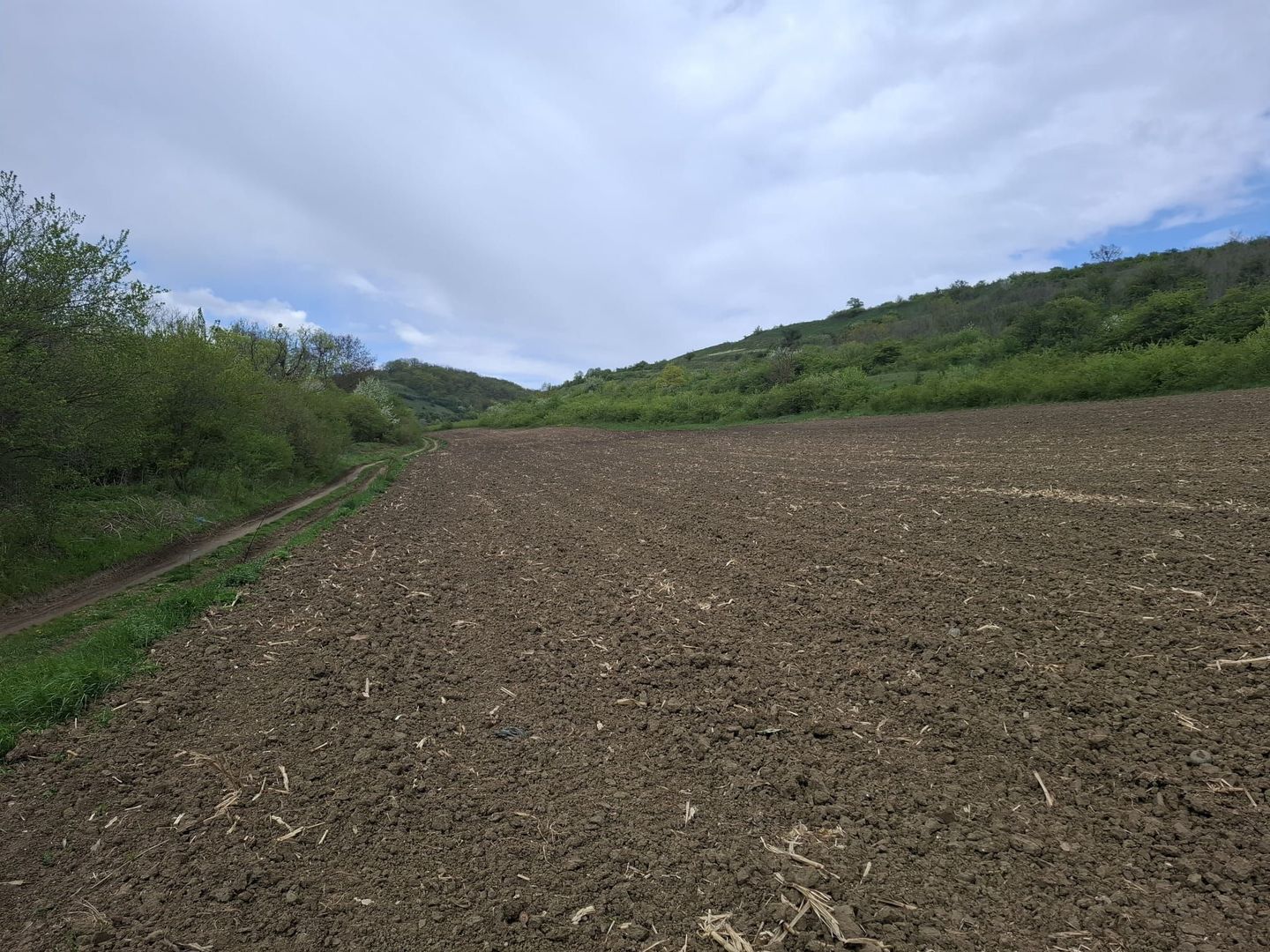 Parcele de teren intravilan cu utilitati-Rasinari-Sibiu - Poză 5