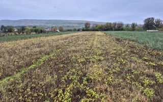 Teren intravilan de vanzare | 3.084mp | Plavia - Urlati | Comision 0% - Poză 2