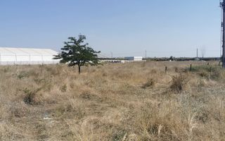 Teren extravilan arabil | Intrare in Pielesti | Zona Peugeot - Poză 5