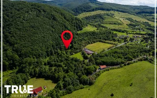 Teren intravilan 2.800 m² în Câmpu Cetății – liniște și natură - Poză 16
