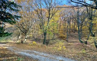Vilă individuală de vânzare în Râșnov, Zona Primăverii | Natură și Confort - Poză 9