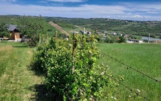Casa Zona Doja langa Hanul Pescarilor 1500 mp teren - Poză 2