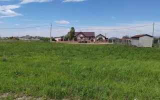🌿 Teren de vânzare – Răcari, Str. Mestecenilor - Intrarea cu Tei - Poză 1