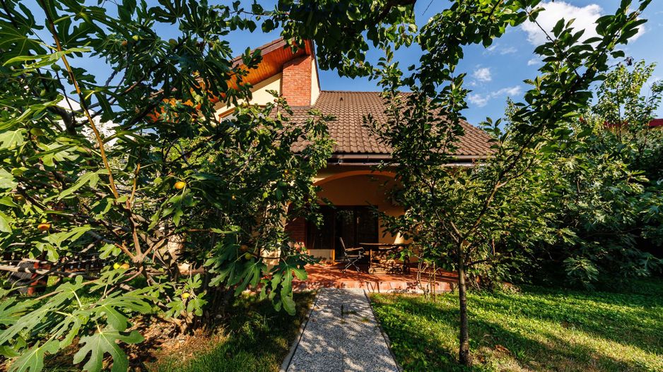 Oferta inchiriata - Casa individuala Dumbravita - Poză 55