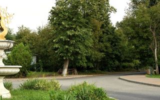 Proiect  autorizat Green City I 3000 mp lotizat - Poză 2