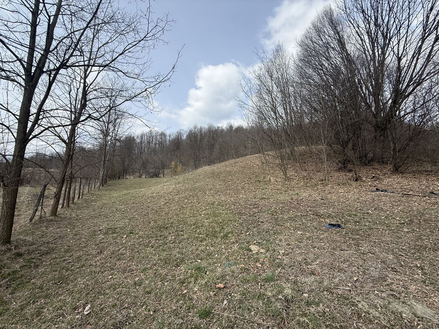 Teren 6040 mp la baza pădurii deschidere 40 ml - Poză 13