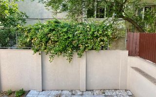 Refugiu Urban cu Eleganță Clasică – Vilă Renovată în Inima Primăverii - Poză 17