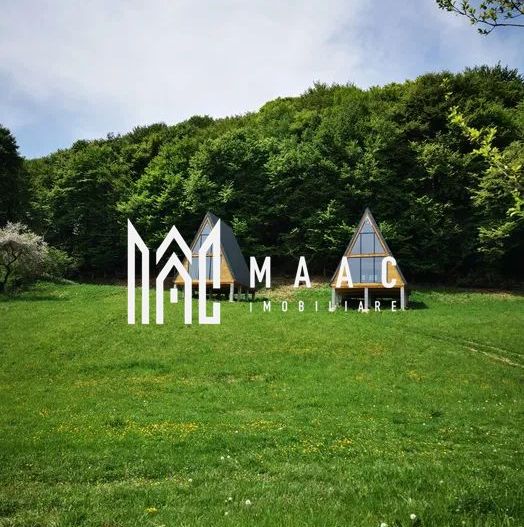 Teren | Intravilan | 5129 MP | 2 Cabane AFrame | Oportunitate Investiție | Bradu - Poză 1