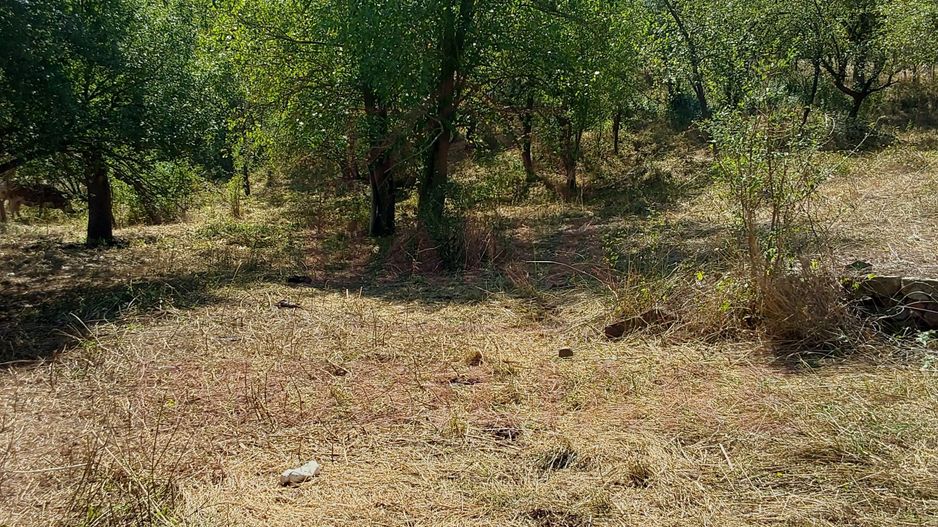 CASĂ IABLANIȚA  7 CAMERE \JUD. CS - Poză 16