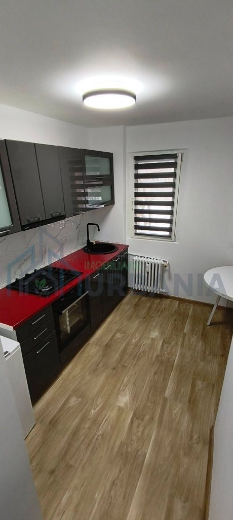 Apartament 2 camere, Podu Roș, etaj 1, renovat - Poză 2
