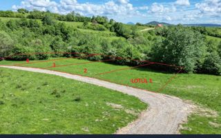 Teren intravilan 500 mp sau 1000 mp în Zarnesti –Tohanita incepand cu 17500 euro - Poză 2