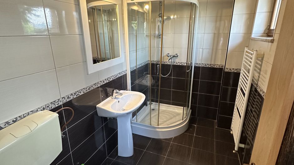 Proprietate cu piscina Dumbravita - Poză 20