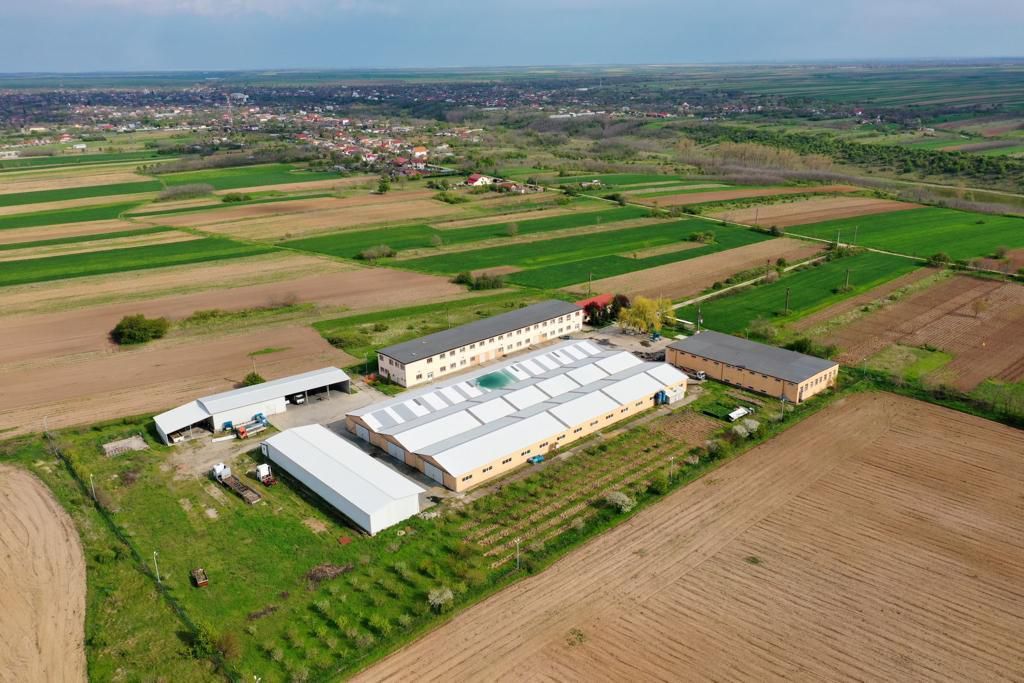 HALE INDUSTRIALE & PLATFORME BETONATE & TEREN INTRAVILAN 23500MP CRAIOVA - Poză 8