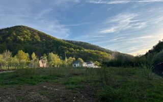 Teren 1250  mp de vânzare în Cisnădioara foarte aproape de asfalt/PUZ - Poză 1